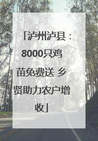 泸州泸县：8000只鸡苗免费送 乡贤助力农户增收