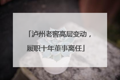 泸州老窖高层变动，履职十年董事离任