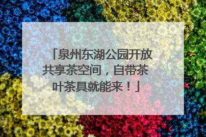 泉州东湖公园开放共享茶空间，自带茶叶茶具就能来！