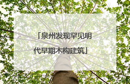 泉州发现罕见明代早期木构建筑