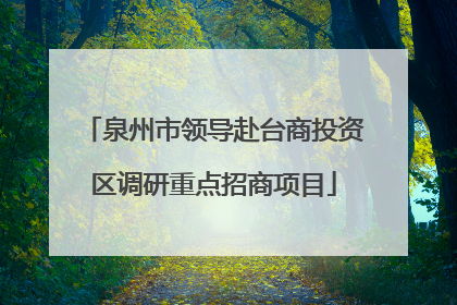 泉州市领导赴台商投资区调研重点招商项目