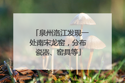 泉州洛江发现一处南宋龙窑，分布瓷器、窑具等