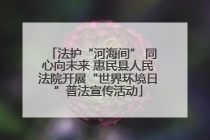 法护“河海间” 同心向未来 惠民县人民法院开展“世界环境日”普法宣传活动