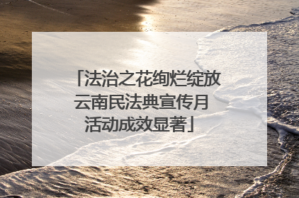 法治之花绚烂绽放 云南民法典宣传月活动成效显著