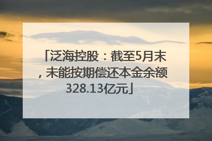 泛海控股：截至5月末，未能按期偿还本金余额328.13亿元