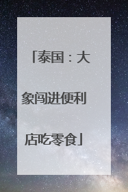 泰国：大象闯进便利店吃零食