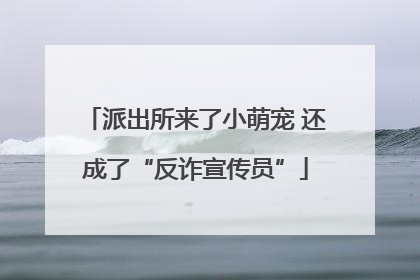 派出所来了小萌宠 还成了“反诈宣传员”