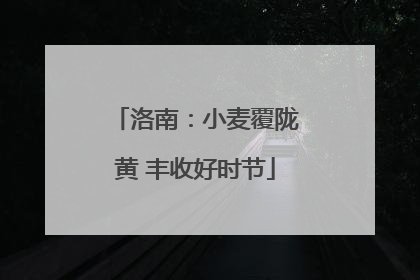 洛南：小麦覆陇黄 丰收好时节