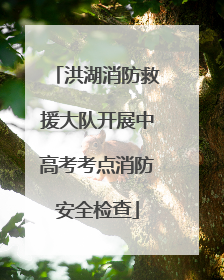 洪湖消防救援大队开展中高考考点消防安全检查