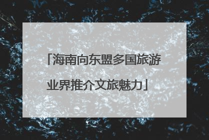 海南向东盟多国旅游业界推介文旅魅力