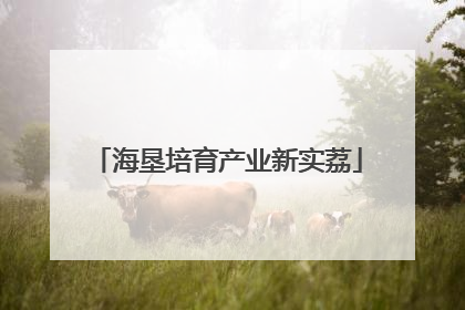 海垦培育产业新实荔