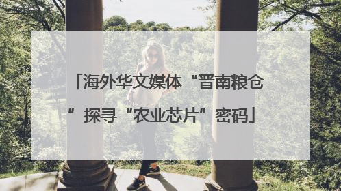 海外华文媒体“晋南粮仓”探寻“农业芯片”密码