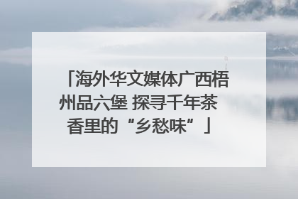 海外华文媒体广西梧州品六堡 探寻千年茶香里的“乡愁味”