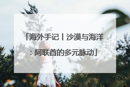 海外手记丨沙漠与海洋：阿联酋的多元脉动