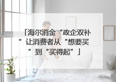 海尔消金“政企双补”让消费者从“想要买”到“买得起”