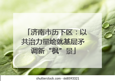 济南市历下区：以共治力量绘就基层矛调新“枫”景