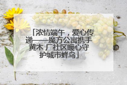 浓情端午，爱心传递——魔方公寓携手黄木 厂社区暖心守护城市蜂鸟