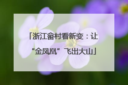 浙江畲村看新变：让“金凤凰”飞出大山