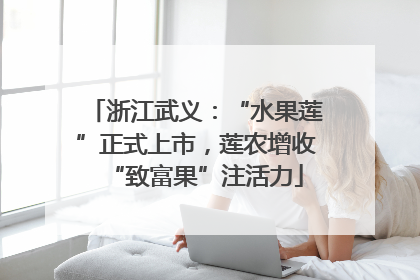 浙江武义：“水果莲”正式上市，莲农增收“致富果”注活力
