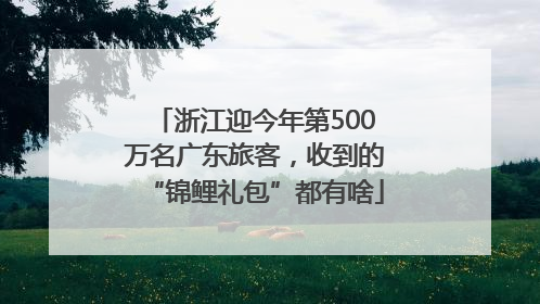 浙江迎今年第500万名广东旅客，收到的“锦鲤礼包”都有啥