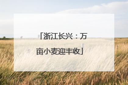 浙江长兴：万亩小麦迎丰收