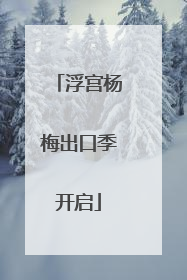 浮宫杨梅出口季开启