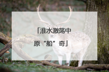 淮水激荡中原“船”奇