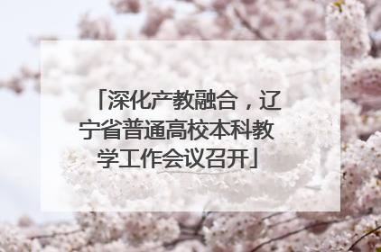 深化产教融合，辽宁省普通高校本科教学工作会议召开
