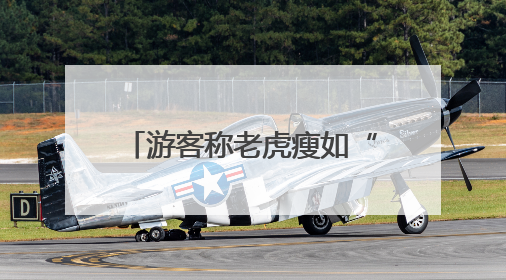 游客称老虎瘦如“卡片”？北京动物园：体重正常，饲料能保障营养需求