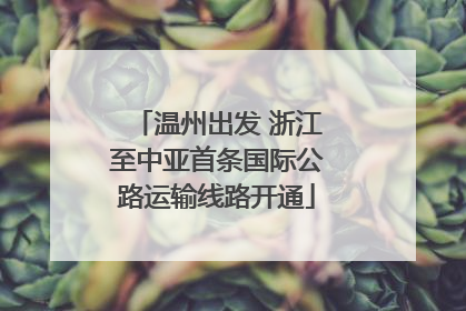 温州出发 浙江至中亚首条国际公路运输线路开通