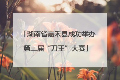 湖南省嘉禾县成功举办第二届“刀王”大赛