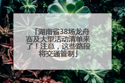 湖南省38场龙舟赛及大型活动清单来了！注意，这些路段将交通管制