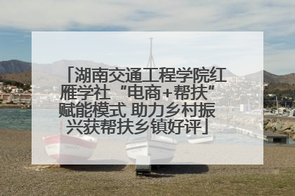 湖南交通工程学院红雁学社“电商+帮扶”赋能模式 助力乡村振兴获帮扶乡镇好评