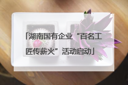 湖南国有企业“百名工匠传薪火”活动启动