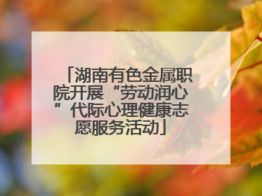 湖南有色金属职院开展“劳动润心”代际心理健康志愿服务活动