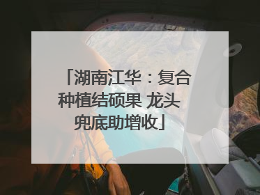 湖南江华：复合种植结硕果 龙头兜底助增收