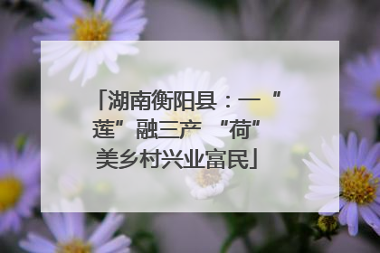 湖南衡阳县：一“莲”融三产 “荷”美乡村兴业富民