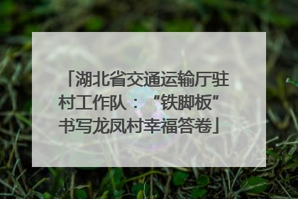 湖北省交通运输厅驻村工作队：“铁脚板”书写龙凤村幸福答卷