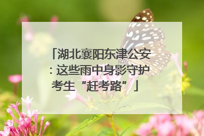 湖北襄阳东津公安：这些雨中身影守护考生“赶考路”
