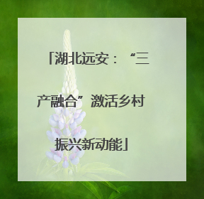 湖北远安：“三产融合”激活乡村振兴新动能