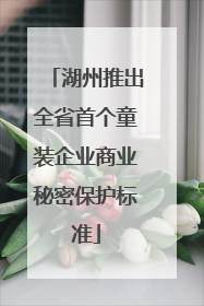 湖州推出全省首个童装企业商业秘密保护标准