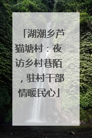 湖潮乡芦猫塘村：夜访乡村巷陌，驻村干部情暖民心