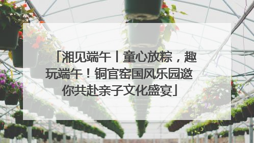 湘见端午丨童心放粽，趣玩端午！铜官窑国风乐园邀你共赴亲子文化盛宴