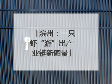 滨州：一只虾“游”出产业链新图景