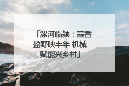 漯河临颍：蒜香盈野映丰年 机械赋能兴乡村
