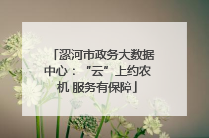 漯河市政务大数据中心：“云”上约农机 服务有保障