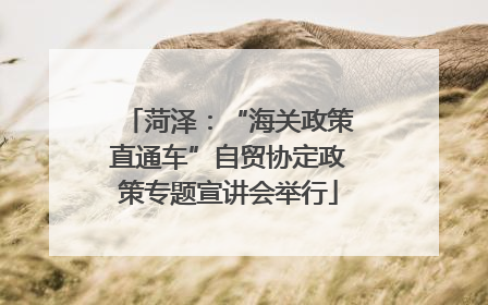 菏泽：“海关政策直通车”自贸协定政策专题宣讲会举行