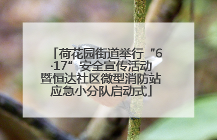 荷花园街道举行“6·17”安全宣传活动暨恒达社区微型消防站应急小分队启动式
