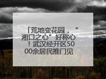 荒地变花园，“湘口之心”好称心！武汉经开区5000余居民推门见绿满眼风景