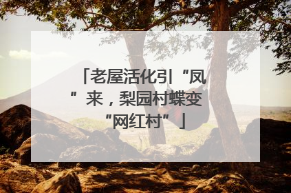 老屋活化引“凤”来，梨园村蝶变“网红村”
